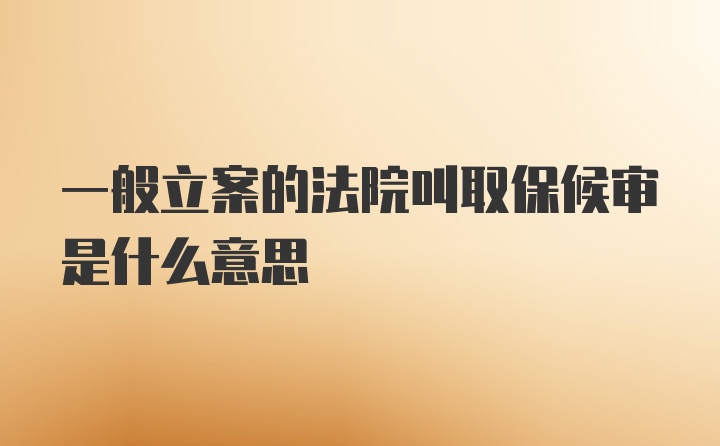 一般立案的法院叫取保候审是什么意思