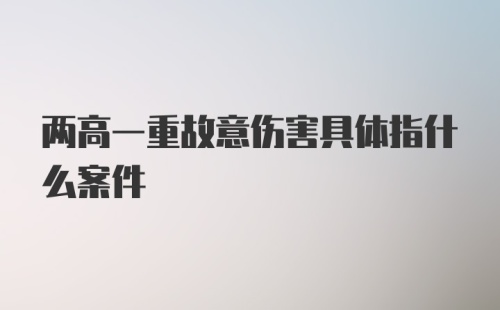 两高一重故意伤害具体指什么案件