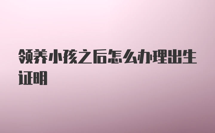 领养小孩之后怎么办理出生证明