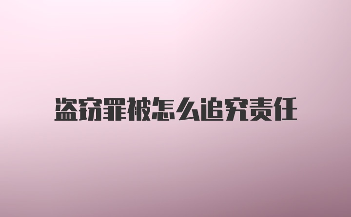 盗窃罪被怎么追究责任