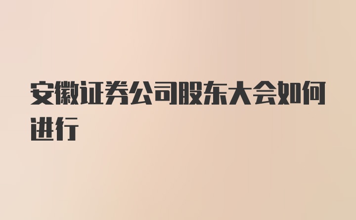 安徽证券公司股东大会如何进行