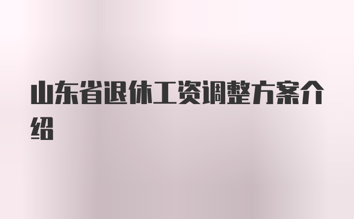 山东省退休工资调整方案介绍