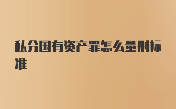 私分国有资产罪怎么量刑标准