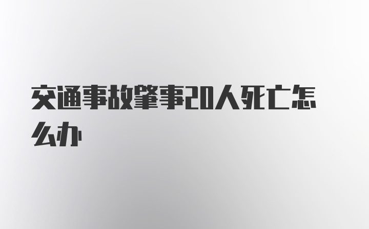 交通事故肇事20人死亡怎么办