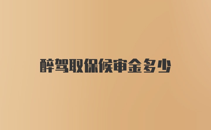 醉驾取保候审金多少