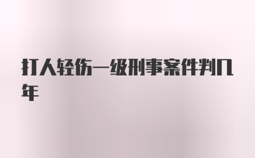 打人轻伤一级刑事案件判几年