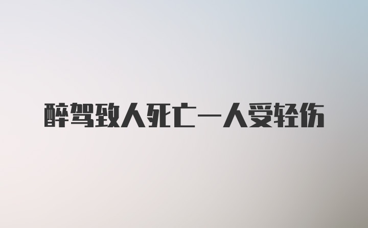 醉驾致人死亡一人受轻伤