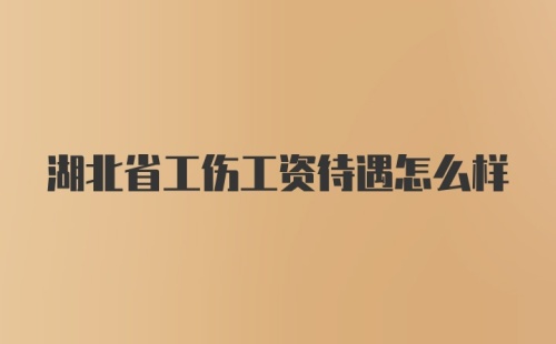 湖北省工伤工资待遇怎么样