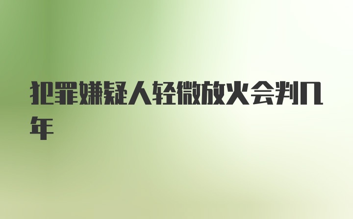 犯罪嫌疑人轻微放火会判几年