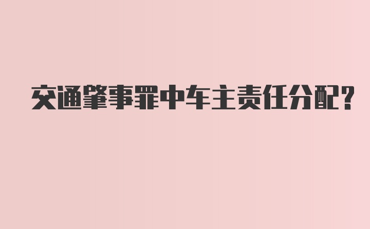 交通肇事罪中车主责任分配？