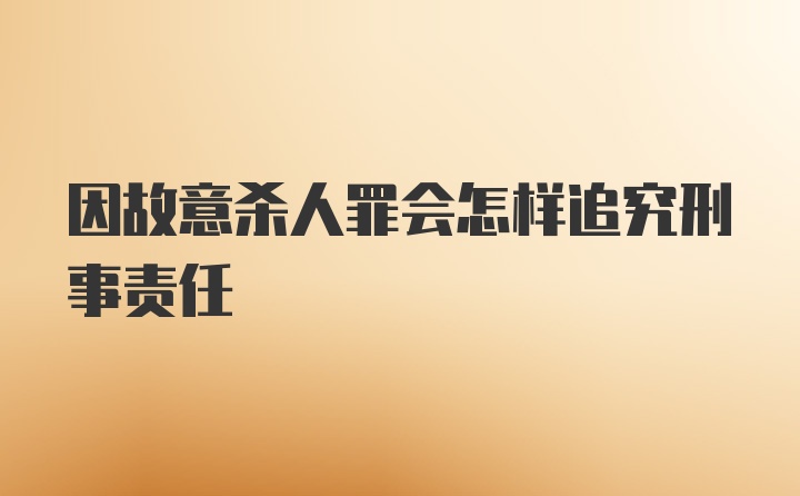 因故意杀人罪会怎样追究刑事责任