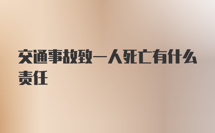 交通事故致一人死亡有什么责任