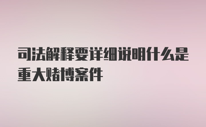 司法解释要详细说明什么是重大赌博案件