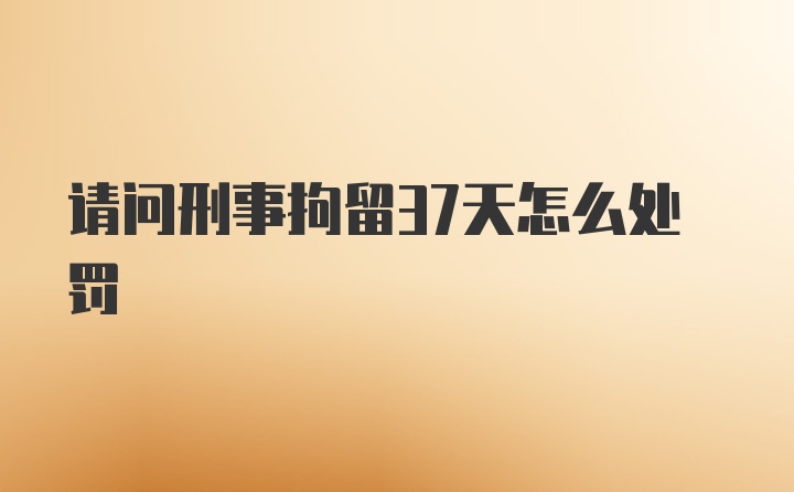 请问刑事拘留37天怎么处罚