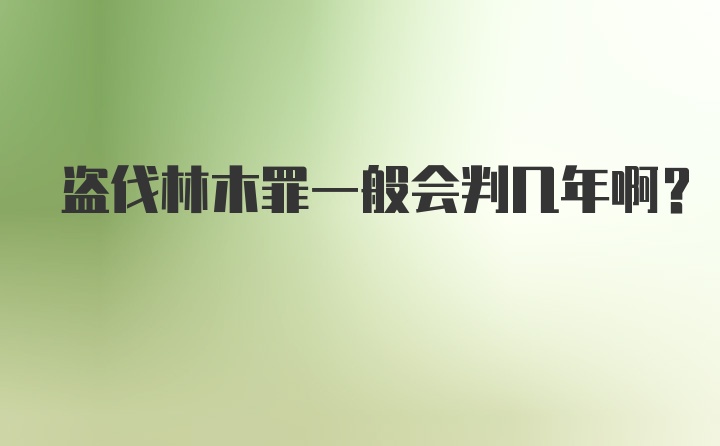 盗伐林木罪一般会判几年啊？