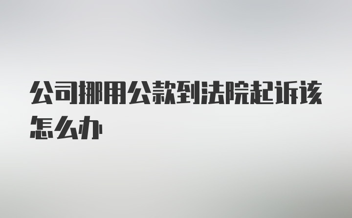 公司挪用公款到法院起诉该怎么办