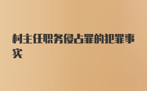 村主任职务侵占罪的犯罪事实