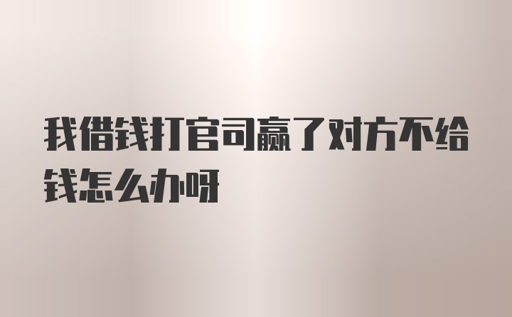 我借钱打官司赢了对方不给钱怎么办呀