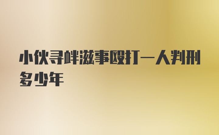 小伙寻衅滋事殴打一人判刑多少年