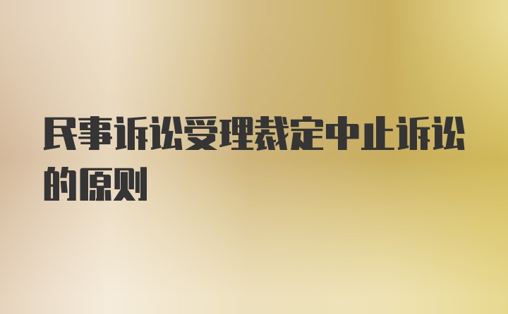 民事诉讼受理裁定中止诉讼的原则