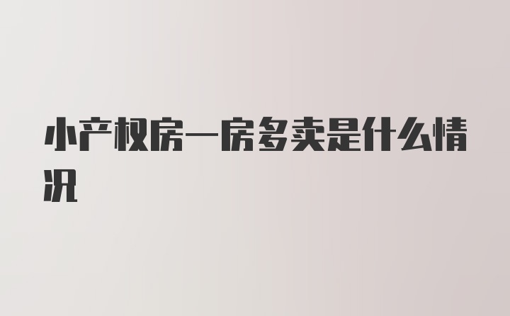 小产权房一房多卖是什么情况