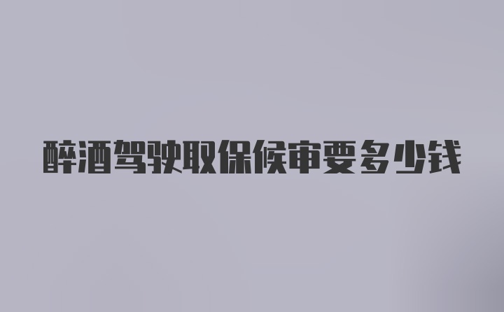 醉酒驾驶取保候审要多少钱