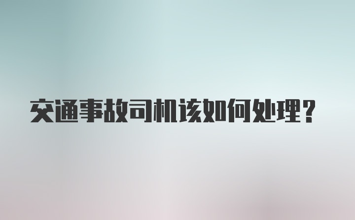 交通事故司机该如何处理?