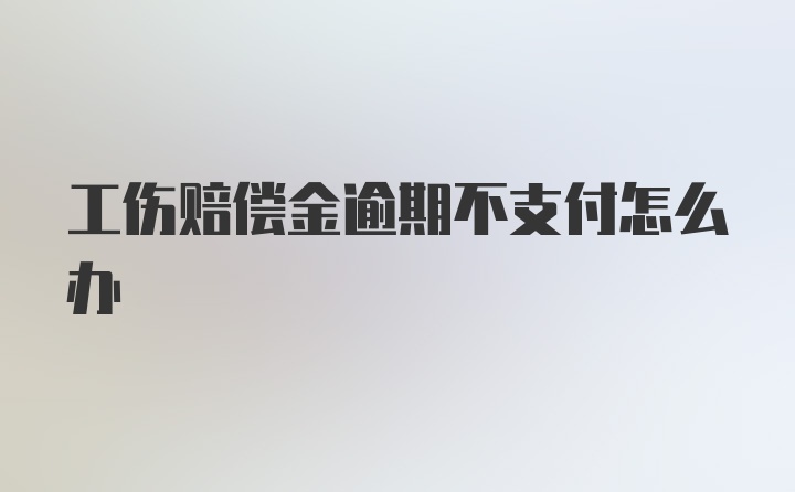 工伤赔偿金逾期不支付怎么办