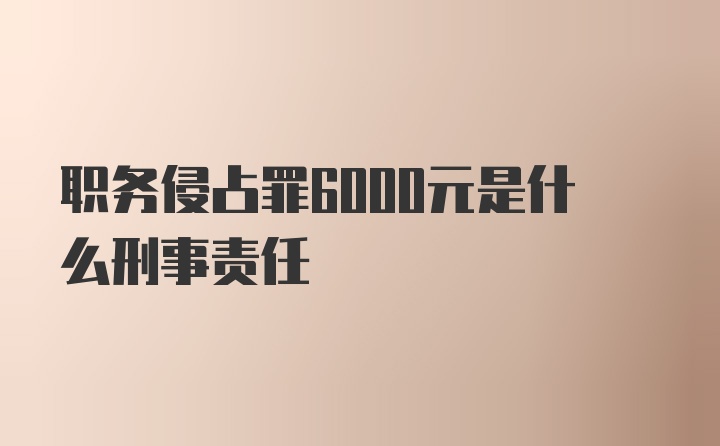 职务侵占罪6000元是什么刑事责任