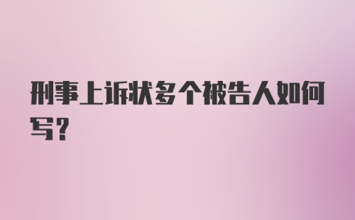 刑事上诉状多个被告人如何写？