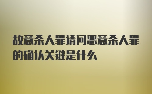 故意杀人罪请问恶意杀人罪的确认关键是什么