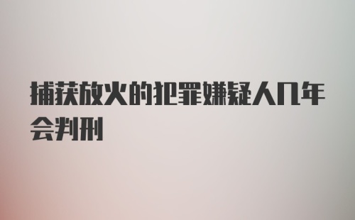 捕获放火的犯罪嫌疑人几年会判刑