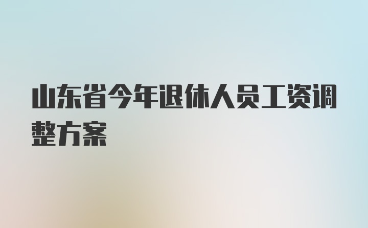 山东省今年退休人员工资调整方案