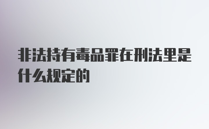 非法持有毒品罪在刑法里是什么规定的