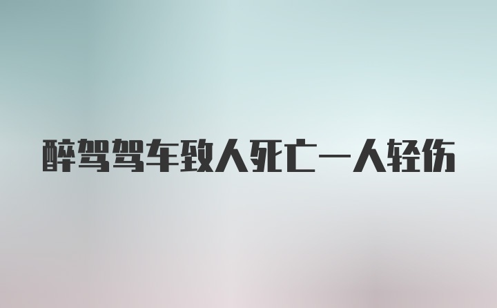 醉驾驾车致人死亡一人轻伤