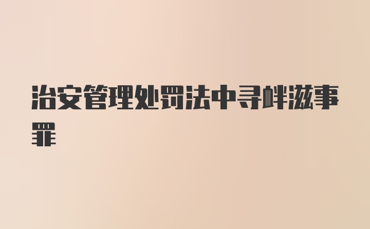 治安管理处罚法中寻衅滋事罪