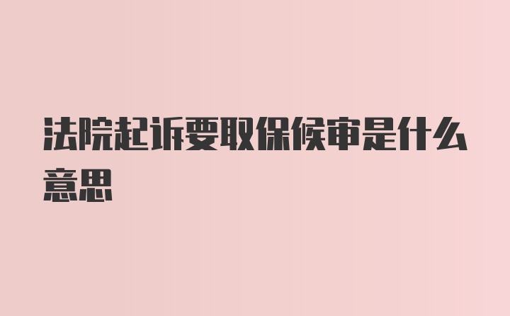 法院起诉要取保候审是什么意思