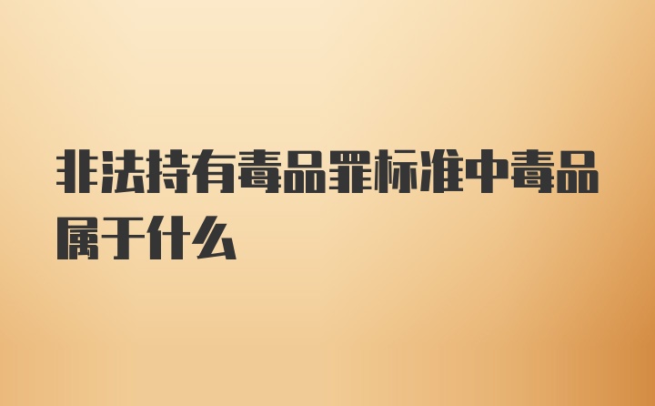 非法持有毒品罪标准中毒品属于什么