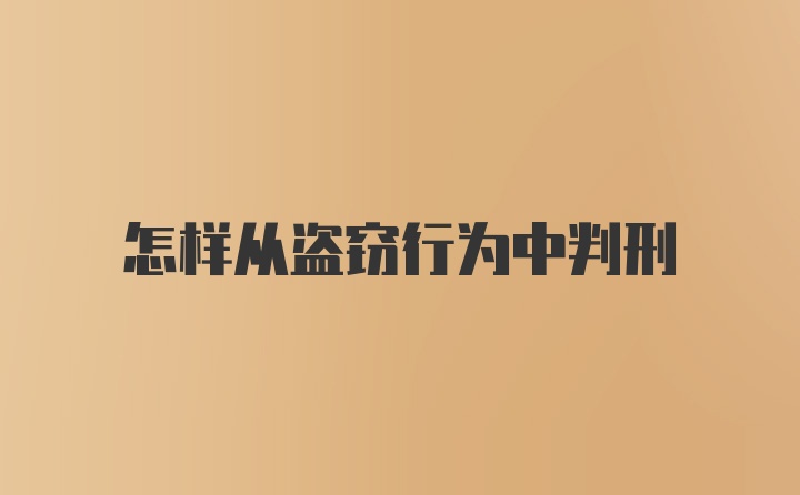 怎样从盗窃行为中判刑