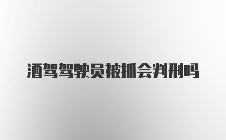 酒驾驾驶员被抓会判刑吗