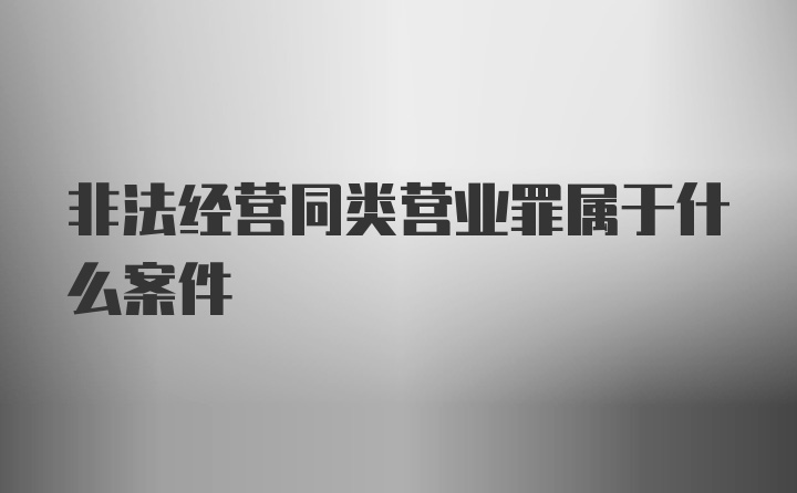 非法经营同类营业罪属于什么案件