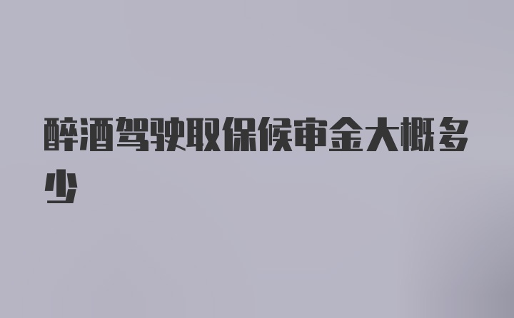 醉酒驾驶取保候审金大概多少