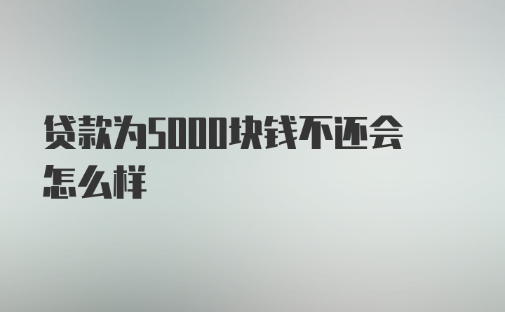 贷款为5000块钱不还会怎么样