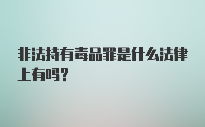 非法持有毒品罪是什么法律上有吗?