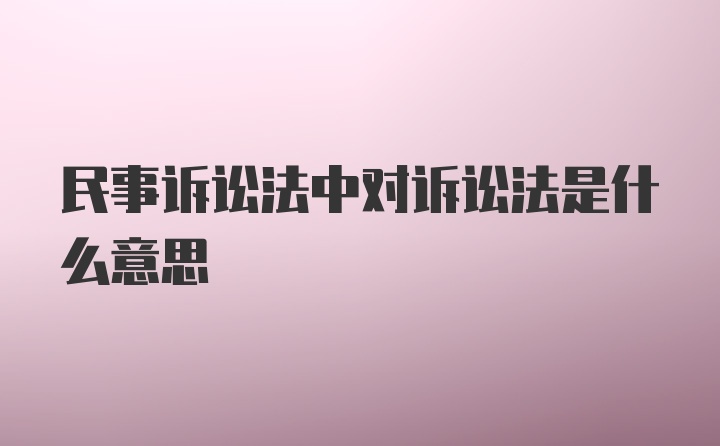 民事诉讼法中对诉讼法是什么意思