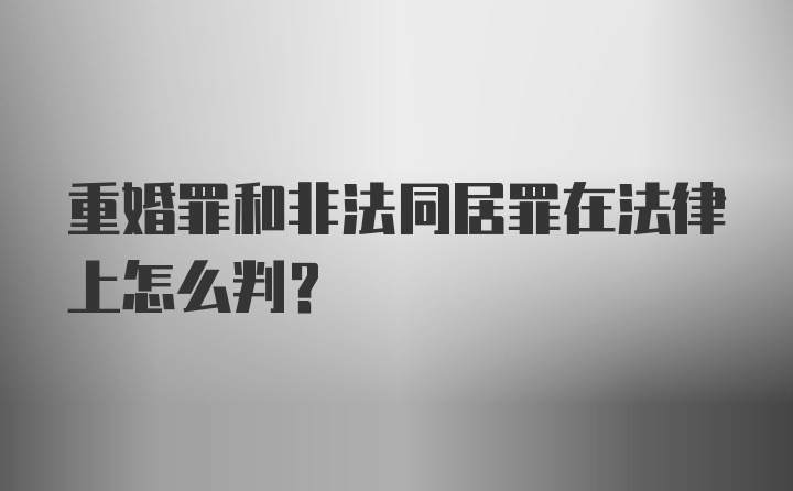 重婚罪和非法同居罪在法律上怎么判？