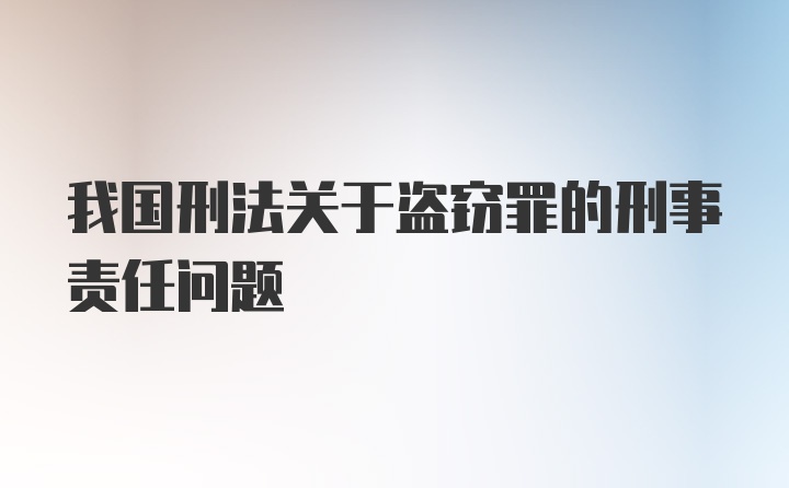 我国刑法关于盗窃罪的刑事责任问题