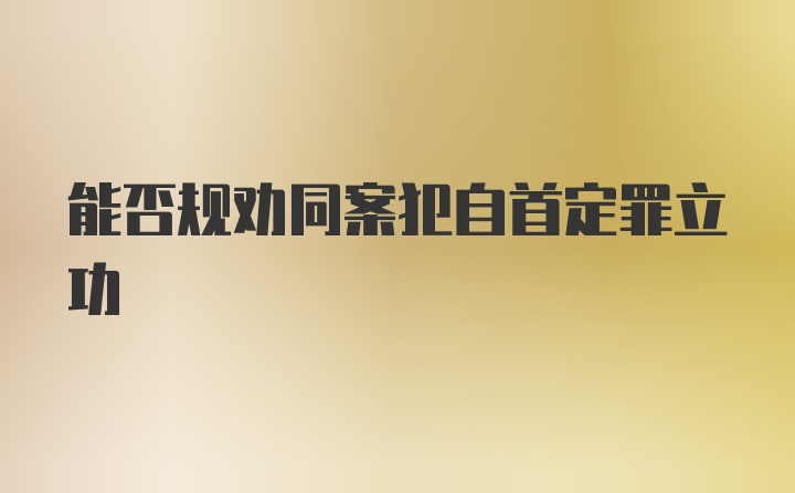 能否规劝同案犯自首定罪立功