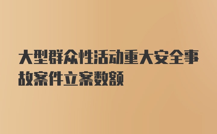 大型群众性活动重大安全事故案件立案数额