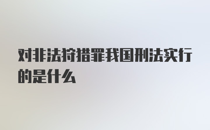 对非法狩猎罪我国刑法实行的是什么